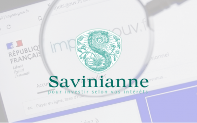 Déclaration fiscale terminée : l’avis devant soi ?